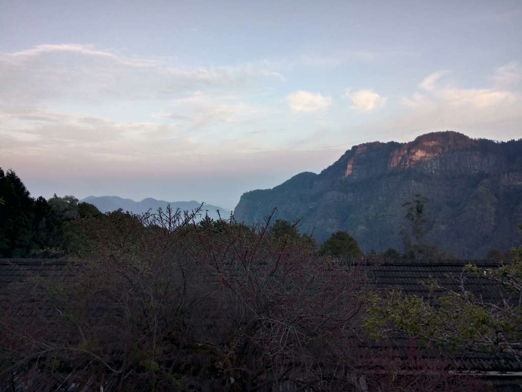 DSC_1619.JPG - 阿里山  沼平公園  賞櫻