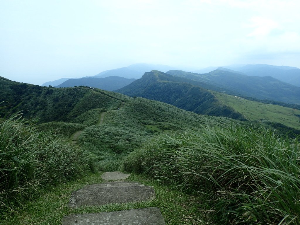 P5258787.JPG - 貢寮  桃源谷  灣坑頭山