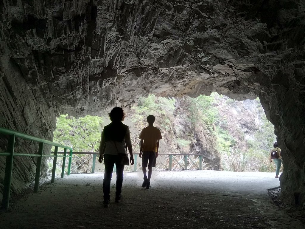 DSC_0550.JPG - 花蓮  天祥  白楊步道