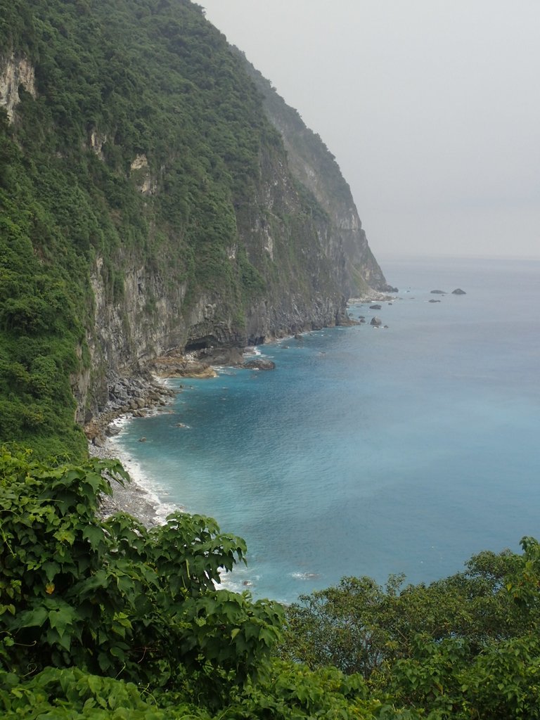 P9098355.JPG - 花蓮  清水斷崖  匯德景觀步道