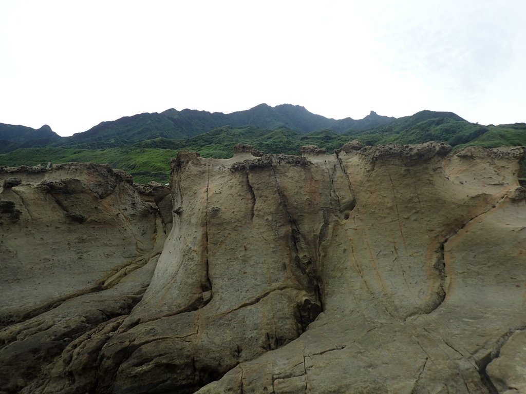 P6220998.JPG - 瑞芳  哩咾海岸  奇岩之美