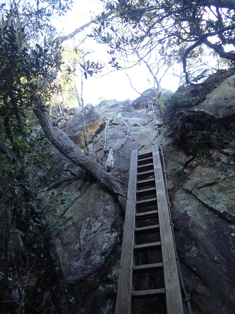 PA185504.JPG - 再訪---  台中  和平  鳶嘴山