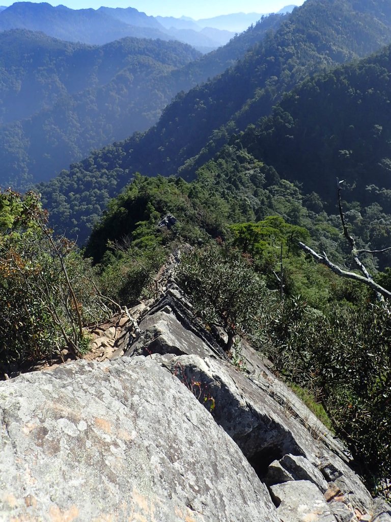 PA185539.JPG - 再訪---  台中  和平  鳶嘴山