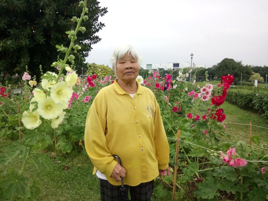 DSC_9190.JPG - 花博公園  蜀葵花季