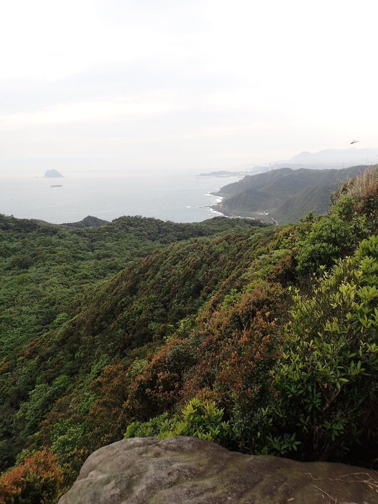 P3308209.JPG - 萬里  瑪鋉山  (望洋崖)