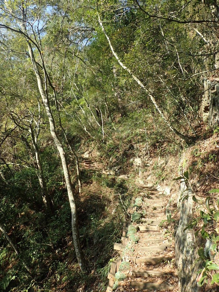 P3167120.JPG - 谷關  德芙蘭步道