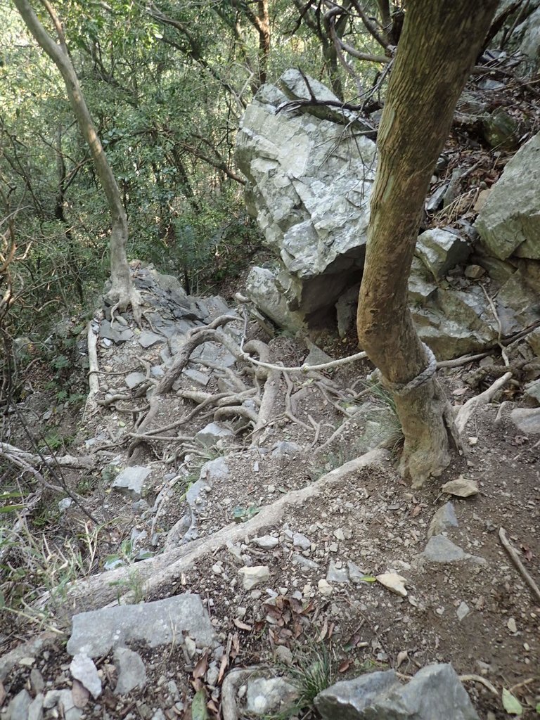 P3167344.JPG - 谷關七雄之  屋我尾山