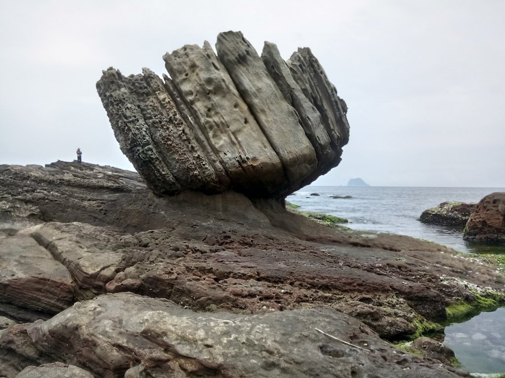 DSC_7998.JPG - 萬里  拳頭石海岸