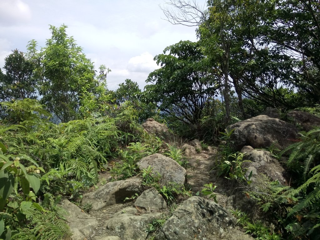 DSC_2996.JPG - 大溪  金面山登山步道