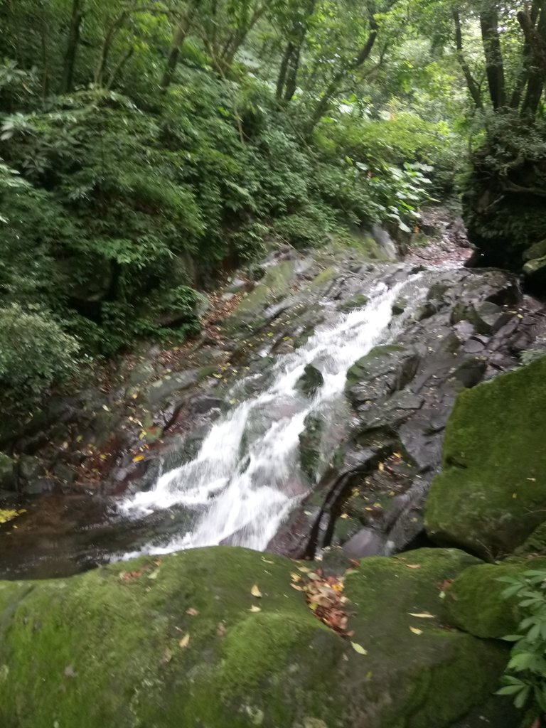 DSC_0711.JPG - 三芝  大屯溪古道