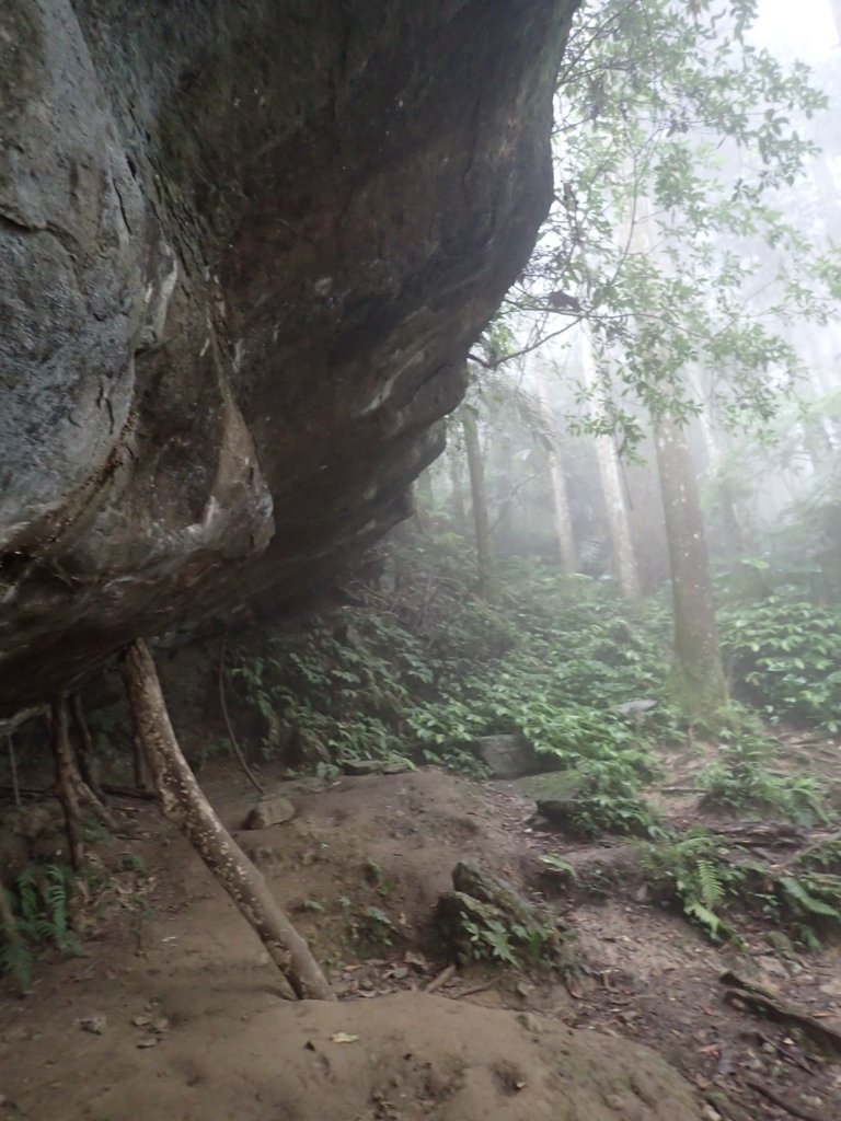 P9250151.JPG - 南庄  向天湖山  光天高山