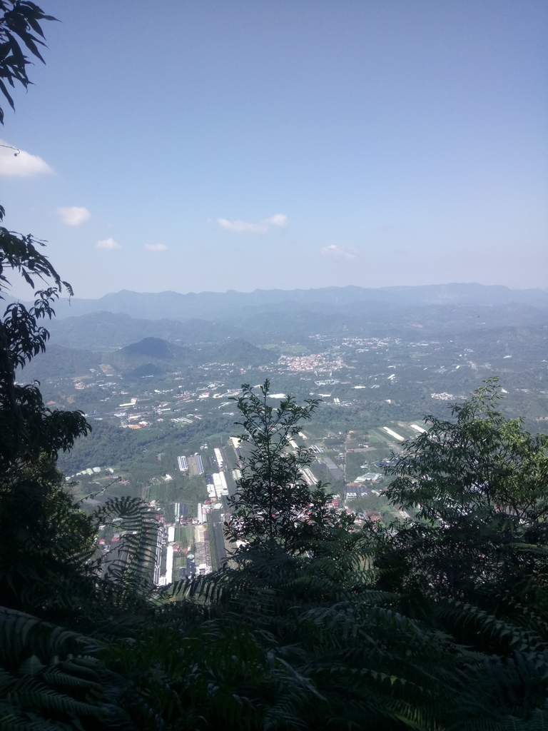 DSC_4033.JPG - 魚池  過坑山登山步道