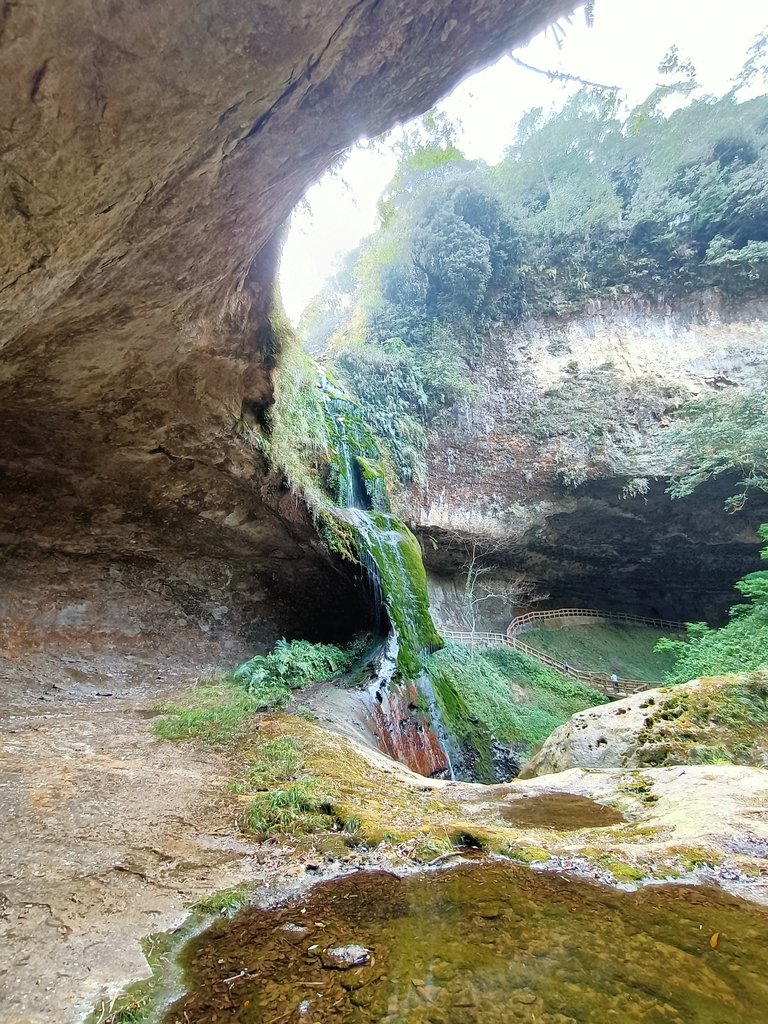 IMG20210205122243.jpg - 竹山  杉林溪森林遊樂園  路過