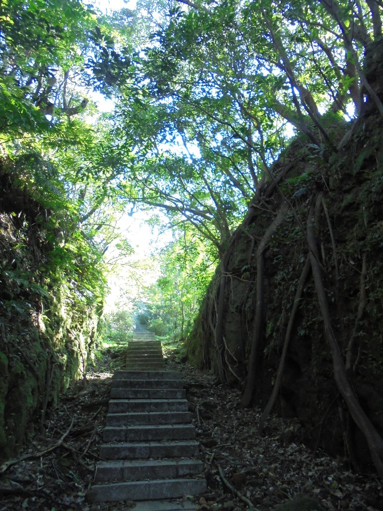 DSC01006.JPG - 九份  琉榔路觀光步道