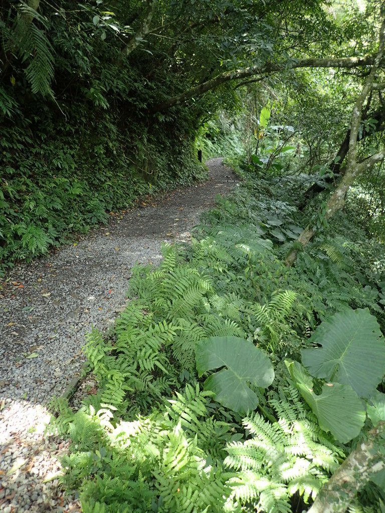 P9127716.JPG - 礁溪  林美石磐步道