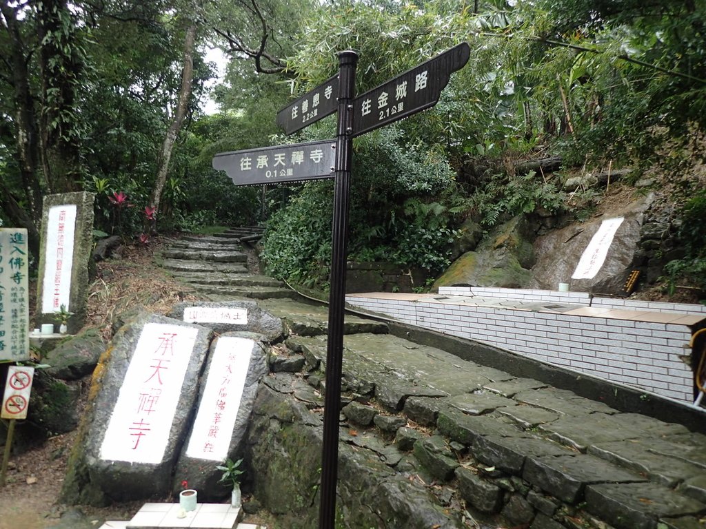 P1062023.JPG - 土城  天上山  登山步道