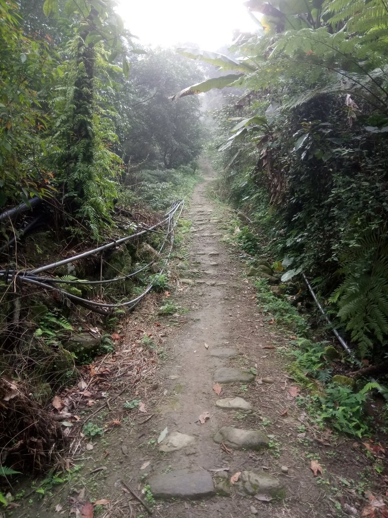 DSC_6187.JPG - 三峽  白雞山登山步道