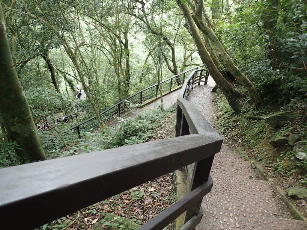 P3028994.JPG - 三峽  滿月圓森林遊樂區