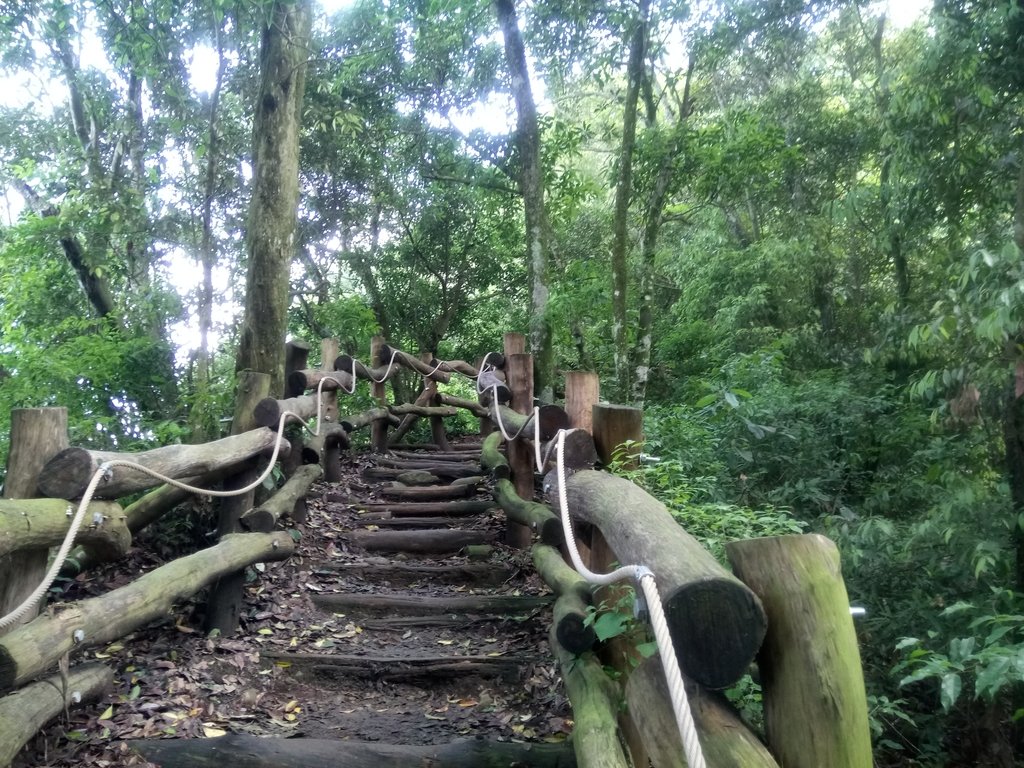 DSC_1259.JPG - 大坑四號步道  頭嵙山