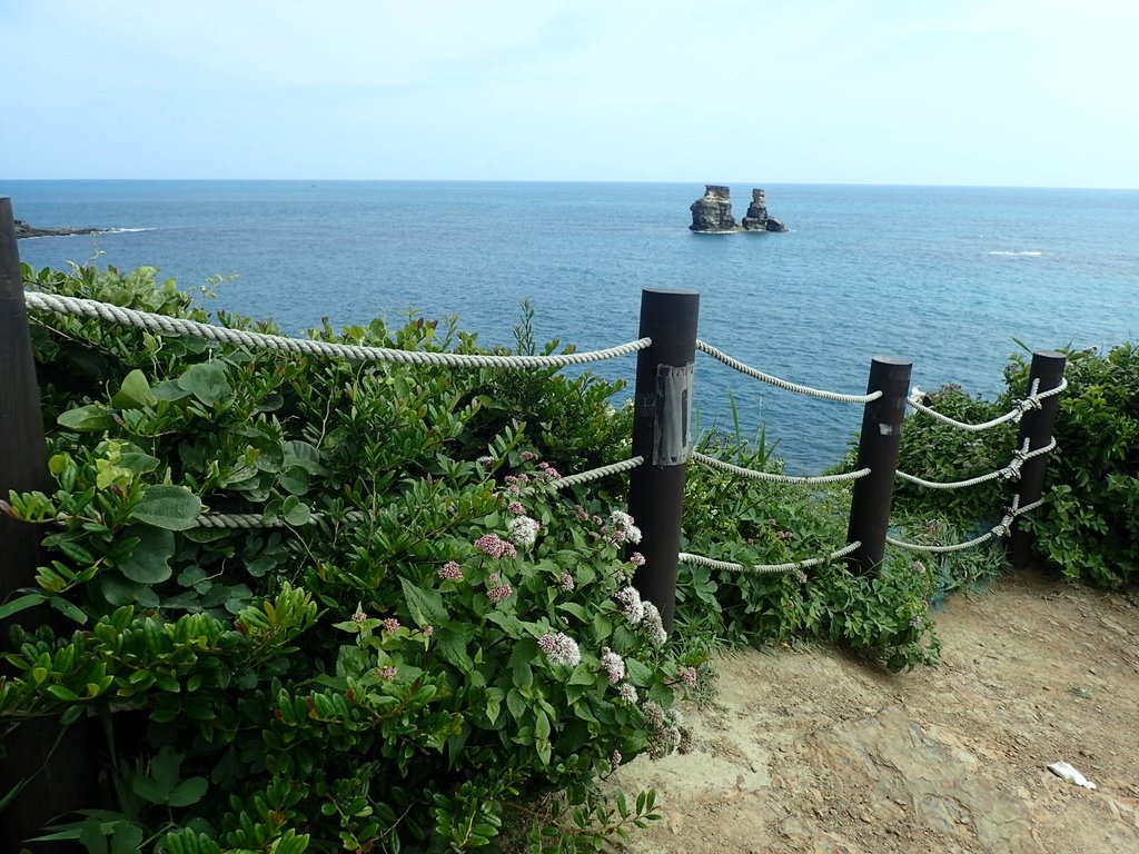 P5056574.JPG - 金山  燭臺雙ˊ峙 神秘海岸