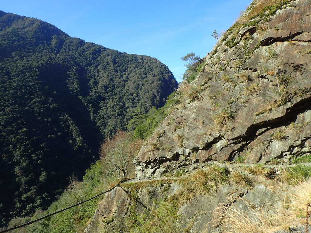 P1022743.JPG - 東埔  八通關古道