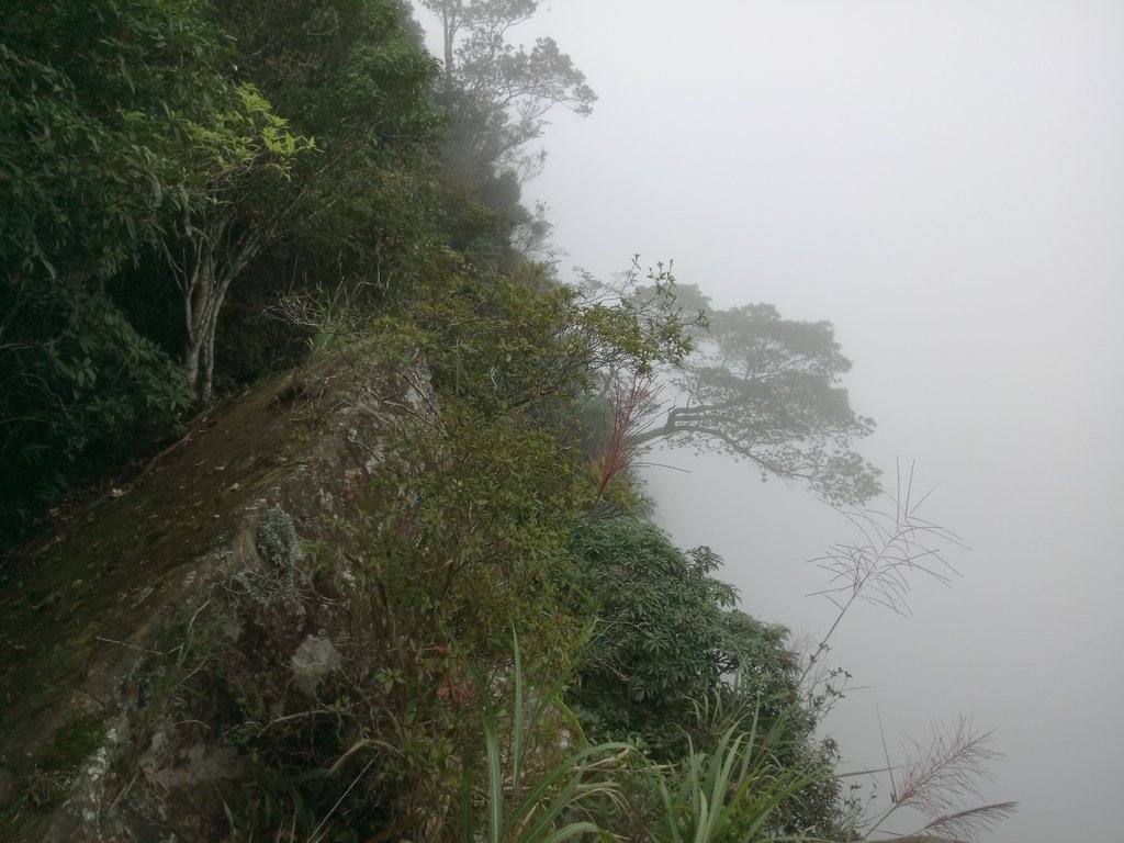 DSC_1272.JPG - 石壁山  嘉南雲峰步道