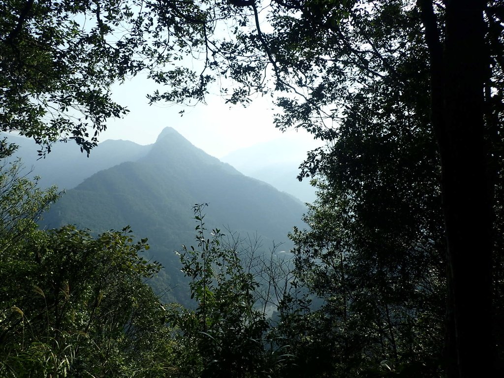 P3217535.JPG - 谷關七雄  白毛山  01