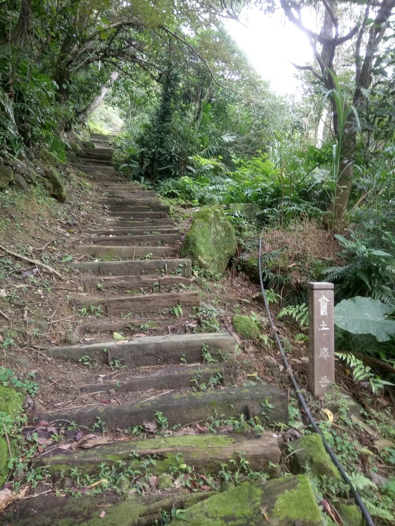 DSC_5984.JPG - 深坑  土庫岳登山步道  (01)