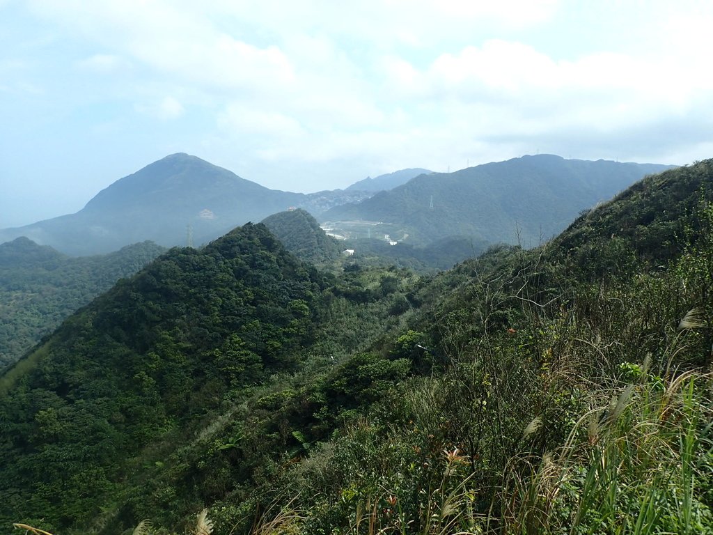 P2145381.JPG - 秀崎山  瑞芳山  龍潭山