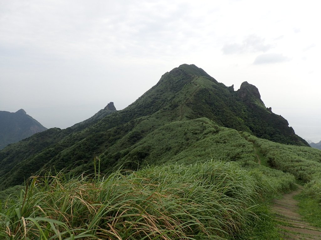 P5167524.JPG - 再登---  瑞芳  燦光寮山