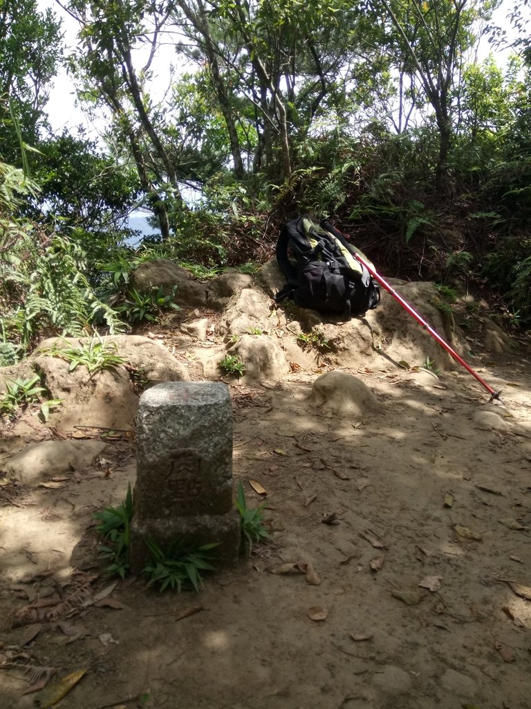 DSC_2987.JPG - 大溪  金面山登山步道