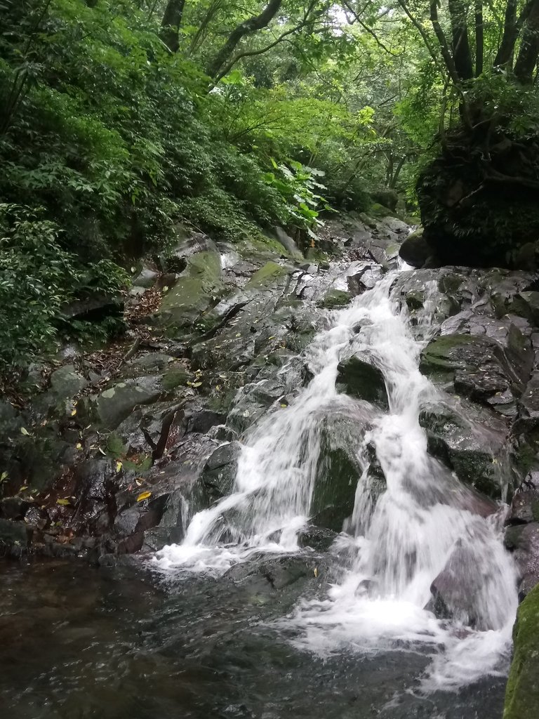 DSC_0716.JPG - 三芝  大屯溪古道