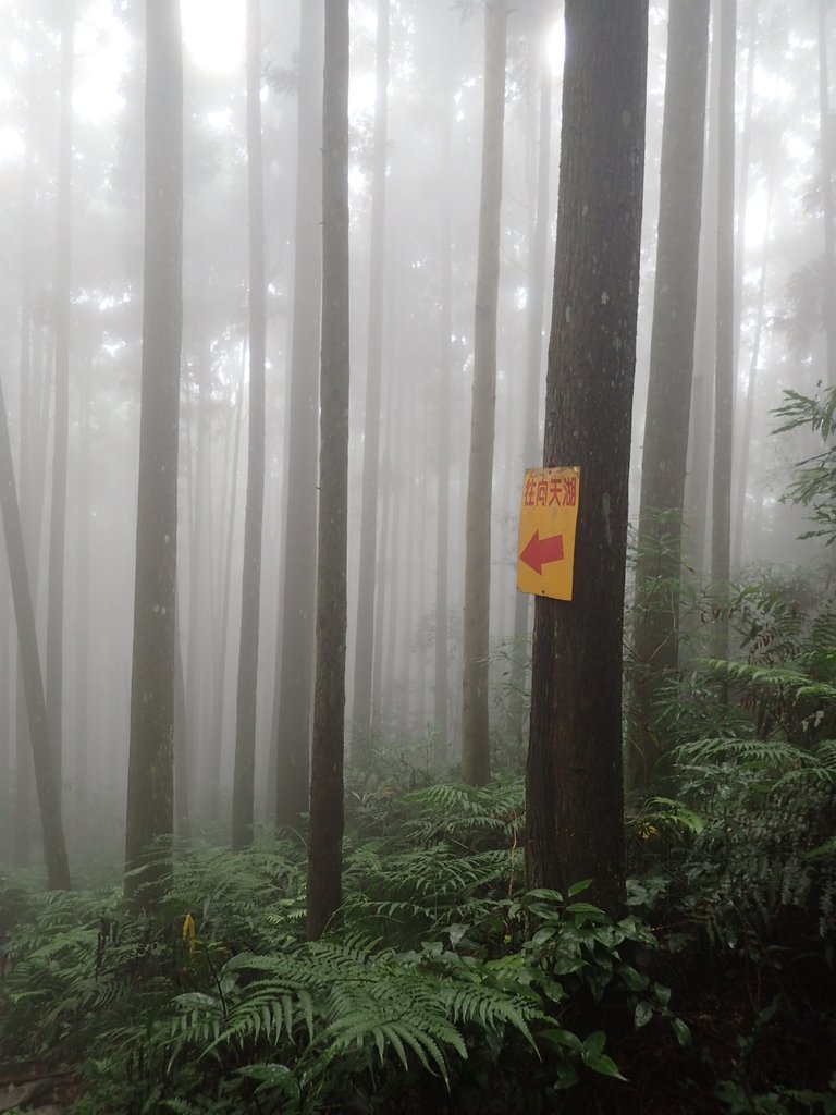 P9250205.JPG - 南庄  向天湖山  光天高山