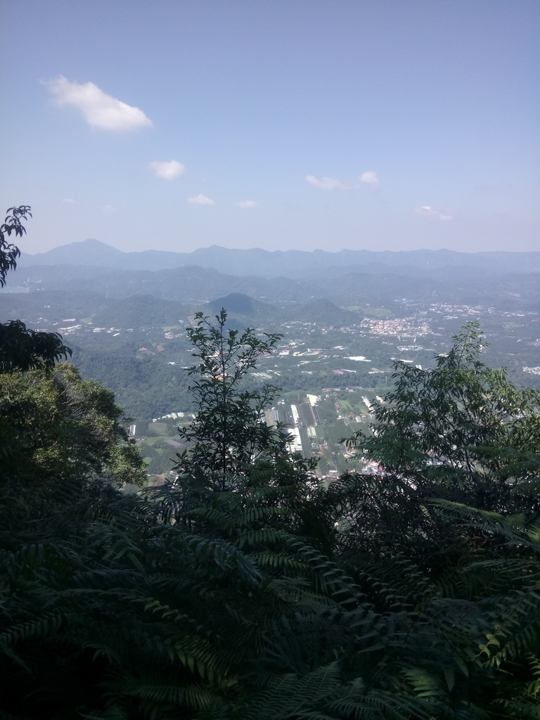 DSC_4035.JPG - 魚池  過坑山登山步道