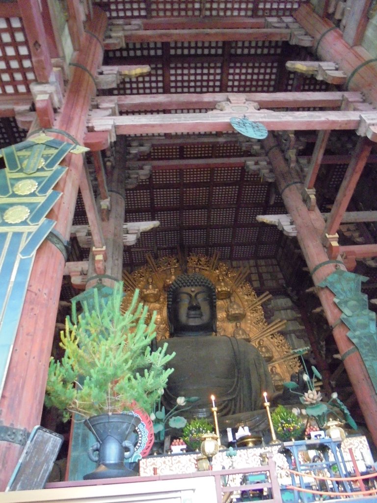 DSC03865.JPG - 奈良  東大寺