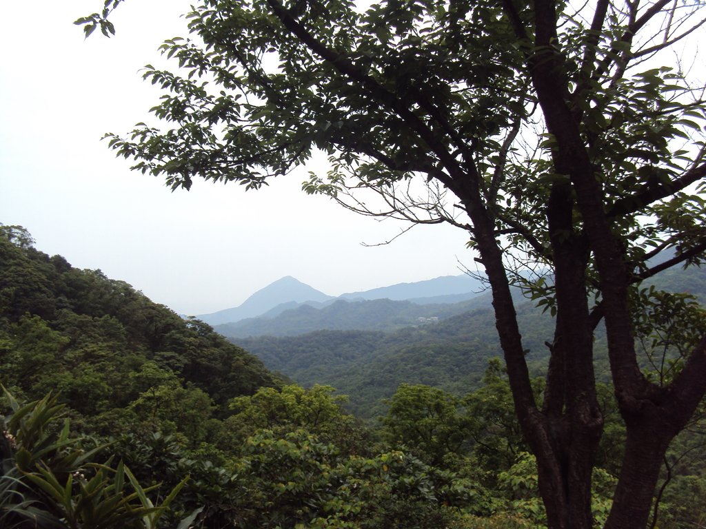 DSC07610.JPG - 瑞芳  粗坑口登山步道