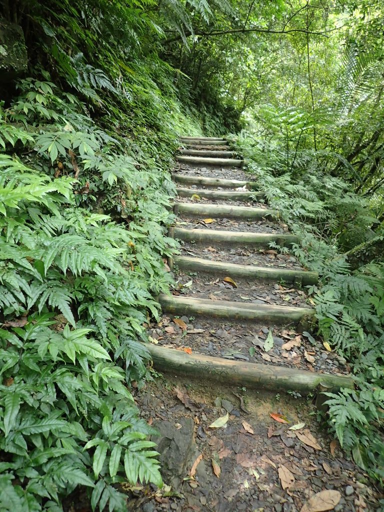 P9127722.JPG - 礁溪  林美石磐步道