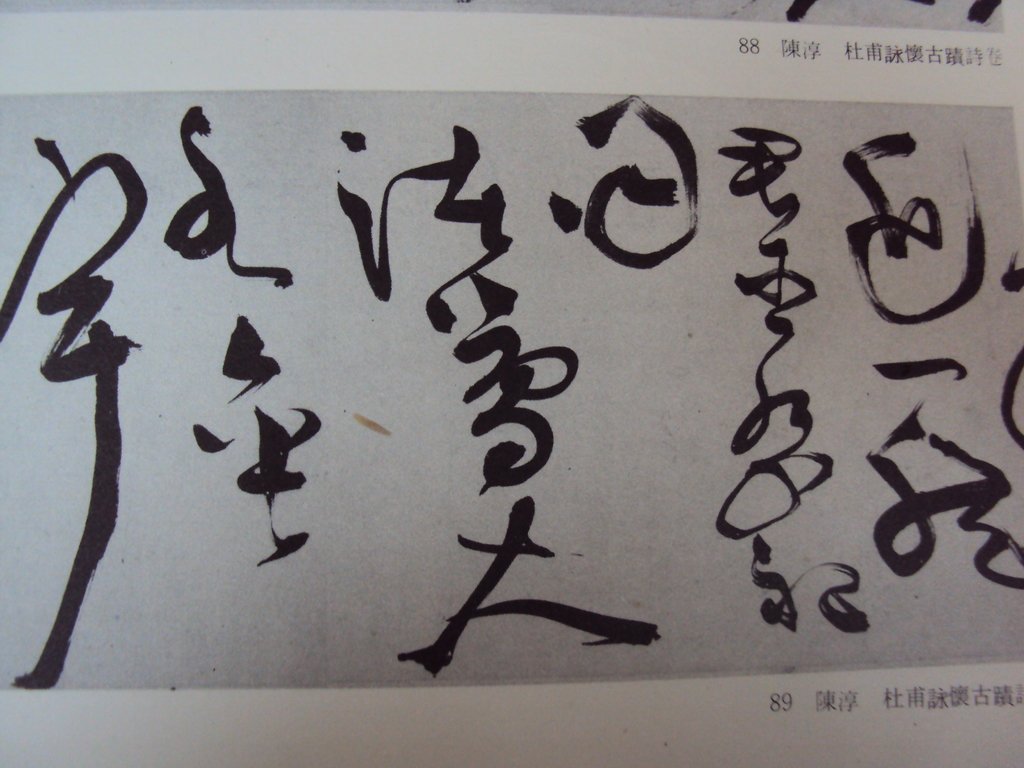 DSC00235.JPG - 陳淳的草書作品