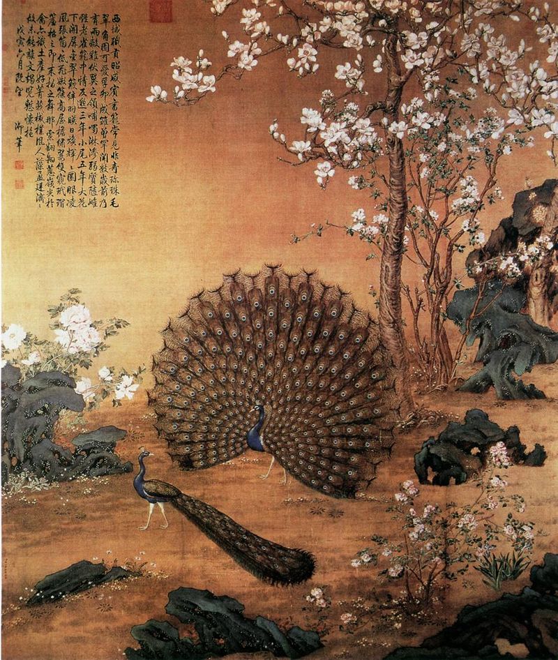 800px-Peacock_Spreads_Its_Tail.jpg - 郎世寧的工筆寫真畫