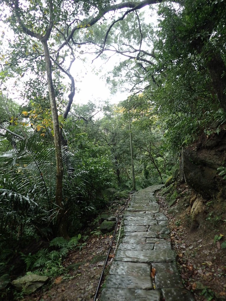 P1062029.JPG - 土城  天上山  登山步道