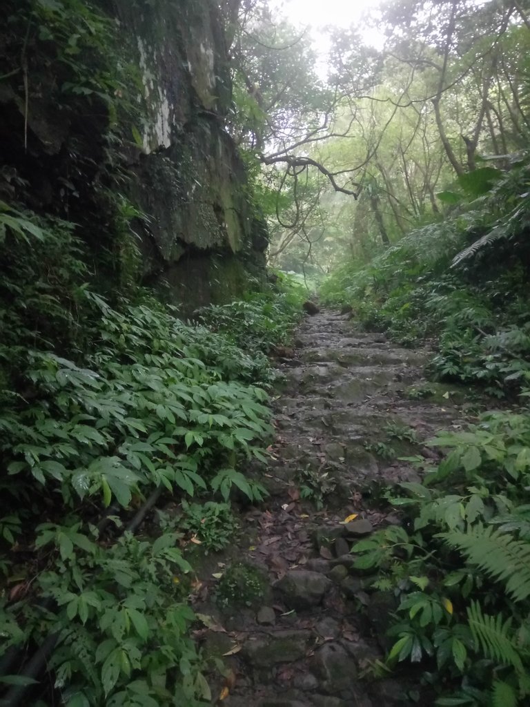 DSC_6195.JPG - 三峽  白雞山登山步道