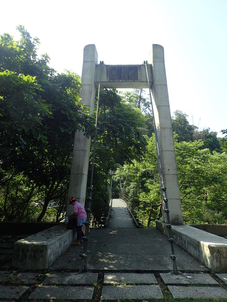 P5117133.JPG - 大坑四號步道  頭嵙山