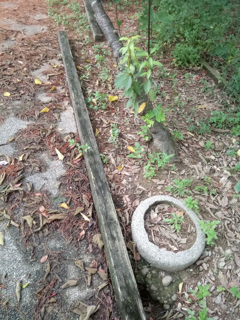 DSC_8982.JPG - 苗栗  稻荷神社遺址