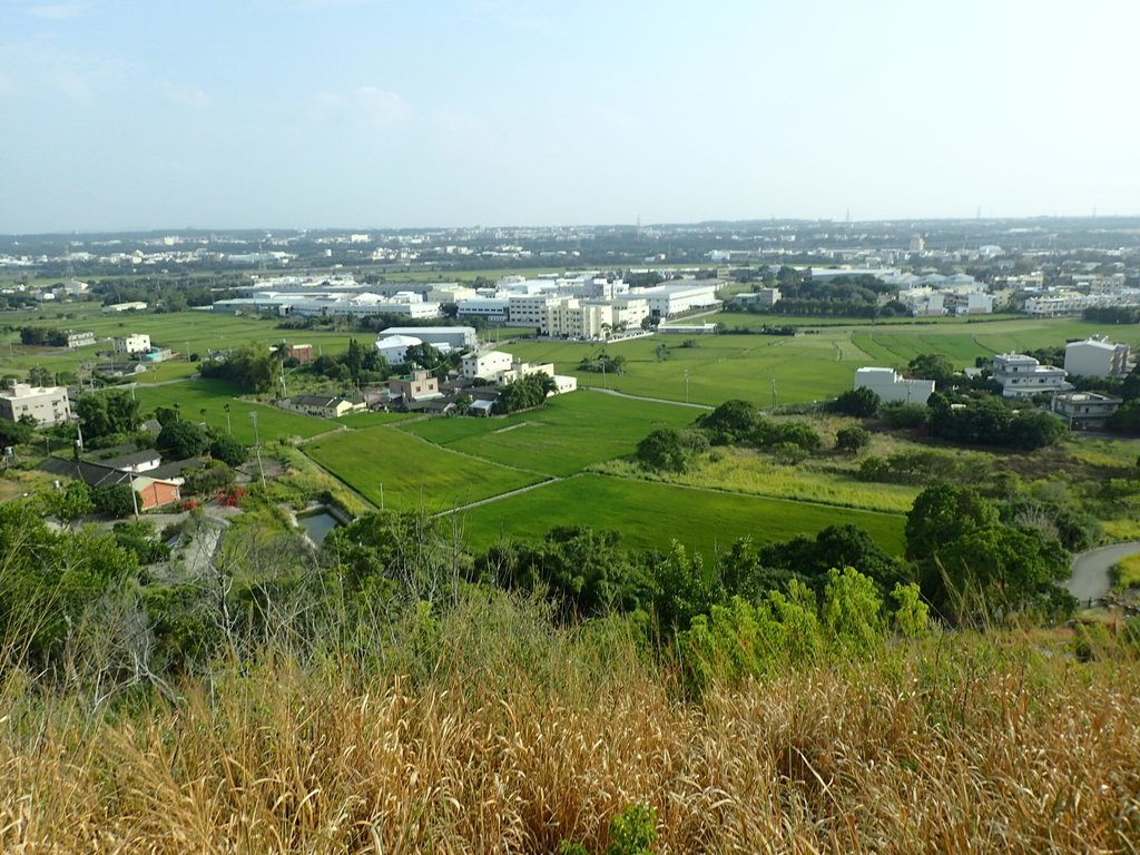 PA160949.JPG - 大甲  鐵砧山大草原