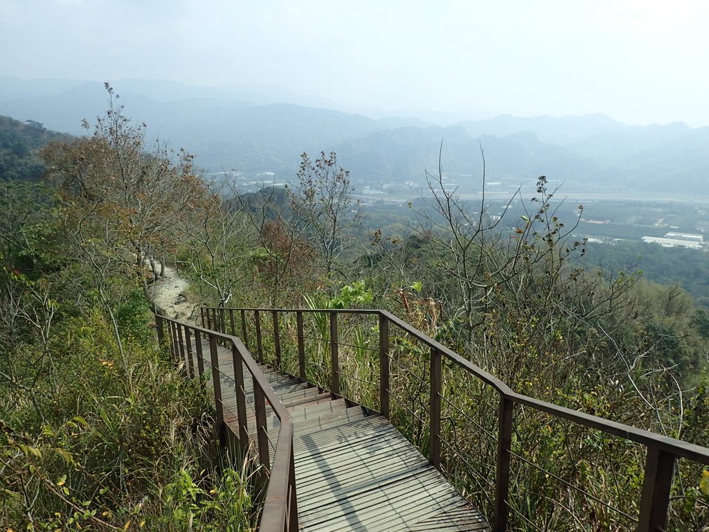 P3016075.JPG - 草屯平林  九九峰森林步道