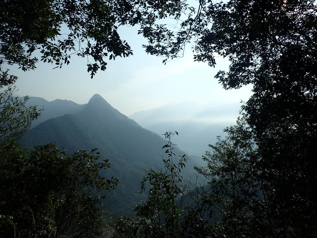 P3217536.JPG - 谷關七雄  白毛山  01