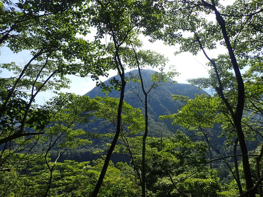 P6160574.JPG - 谷關七雄之  八仙山  (01)