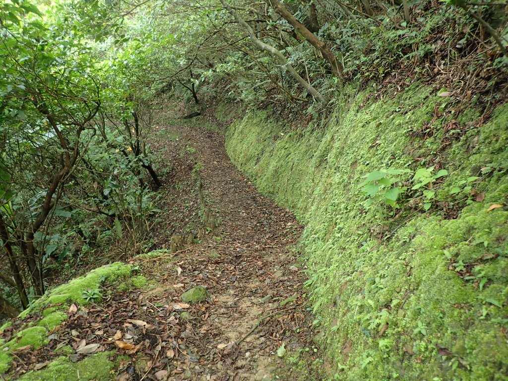 P8317593.JPG - 瑞芳  雞籠山登山步道