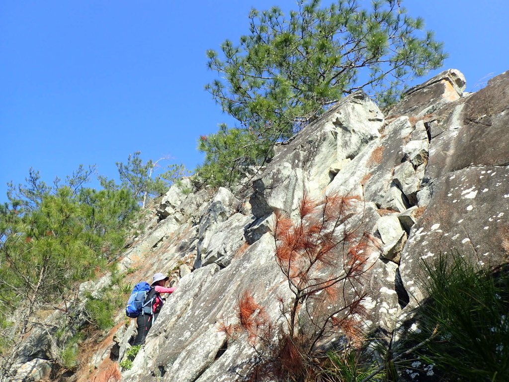 P3167201.JPG - 谷關  東卯山東南稜