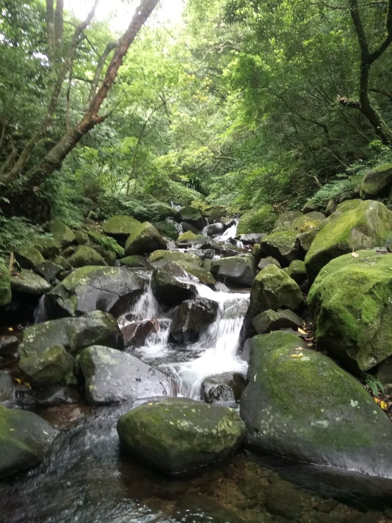 DSC_0718.JPG - 三芝  大屯溪古道